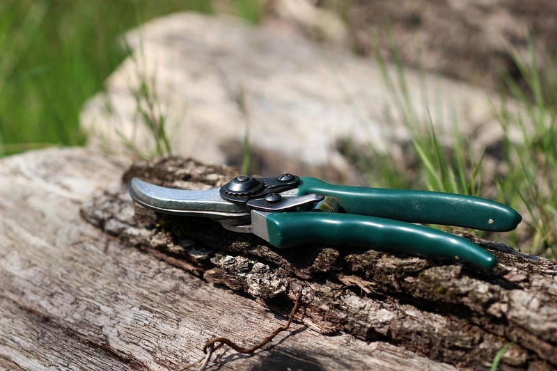 Pruning Benefits