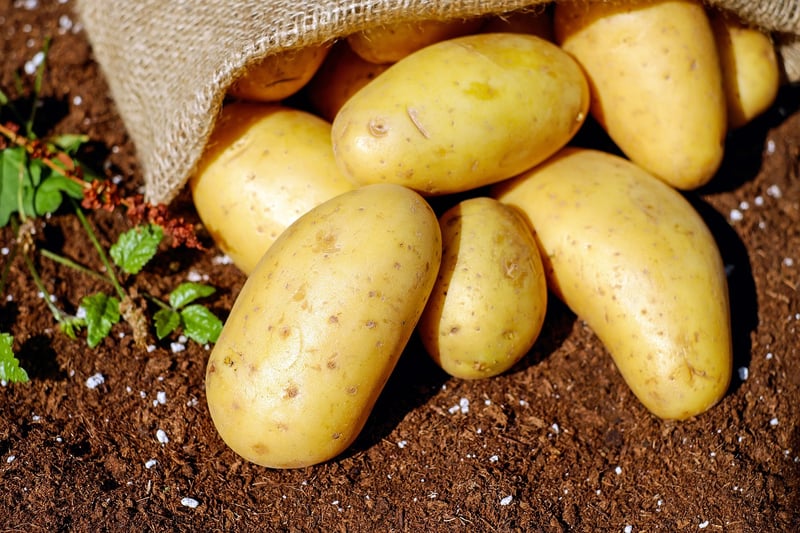 Optimal Soil